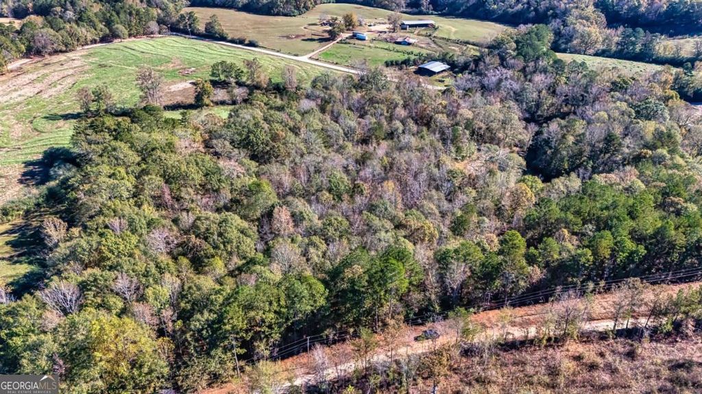 Photo of 0 Holly, Franklin, GA 30217 (MLS # 10720125)