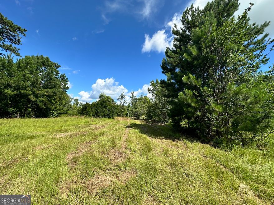 5.2 acres lot adjoins a 5.32 lot. Lots can be combined for a total pf 10.52 acres. Non restricted land ready for you! Land is suitable for a home, mobile home and business.
