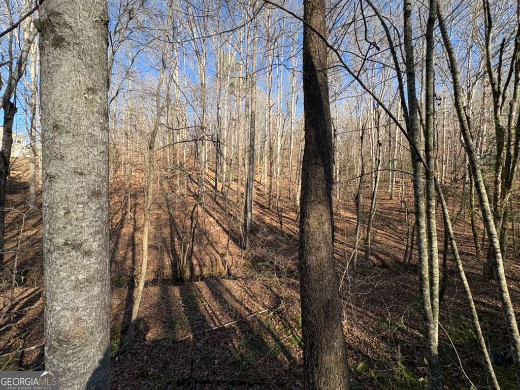 Photo of 0 Gold View Drive, Dahlonega, GA 30533 (MLS # 10708906)