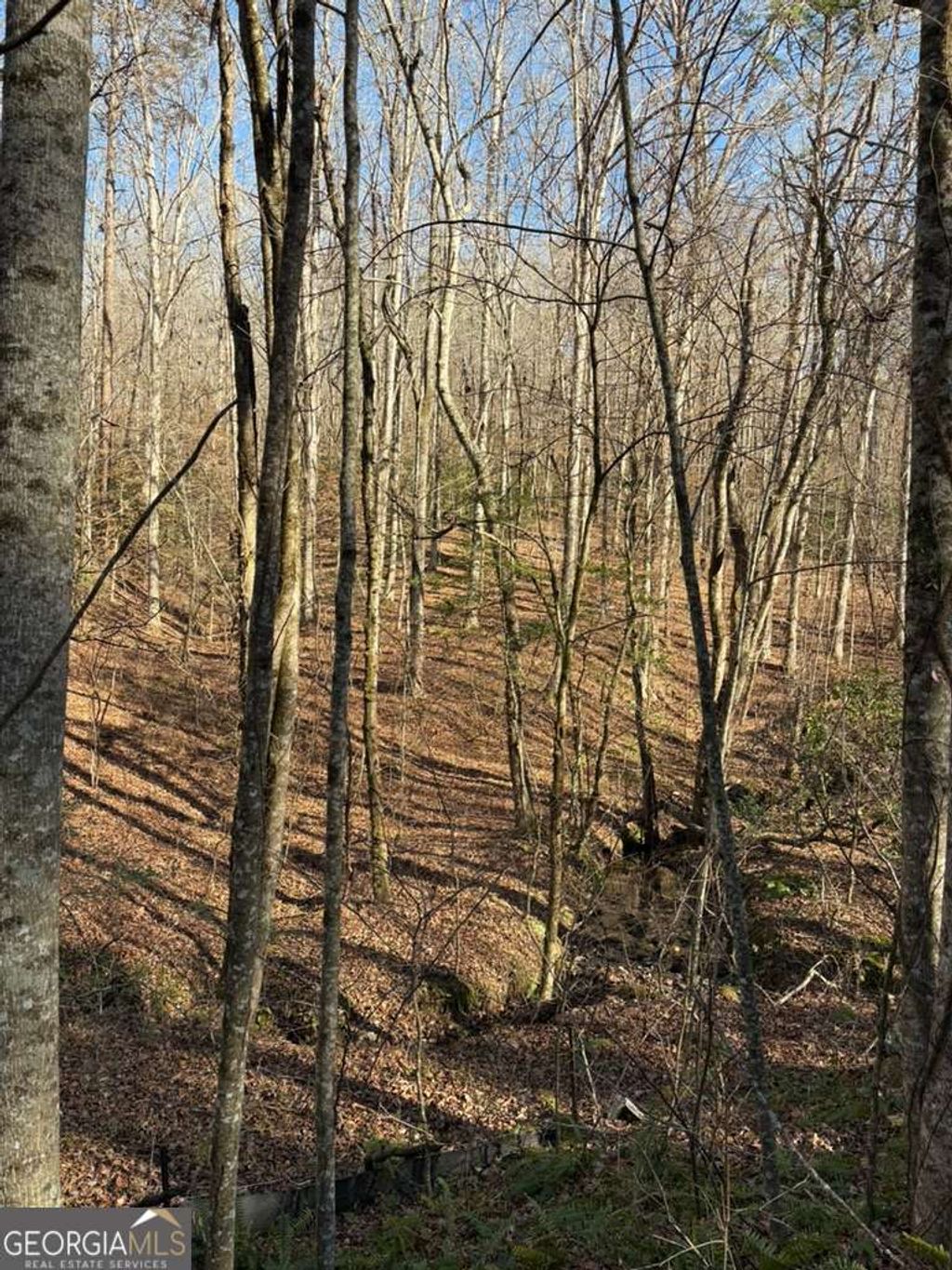 Photo of 0 Gold View Drive, Dahlonega, GA 30533 (MLS # 10708906)