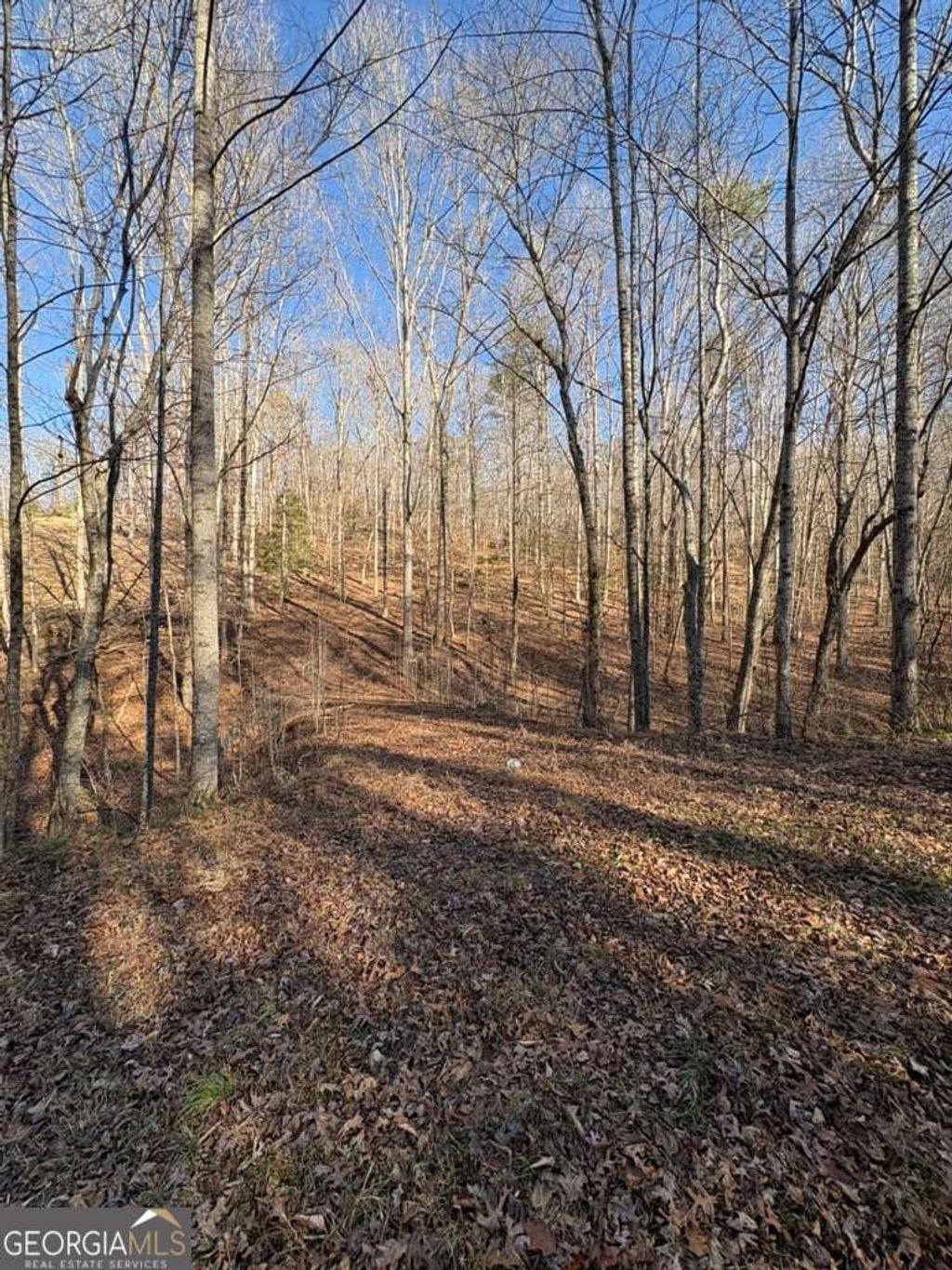Photo of 0 Gold View Drive, Dahlonega, GA 30533 (MLS # 10708906)