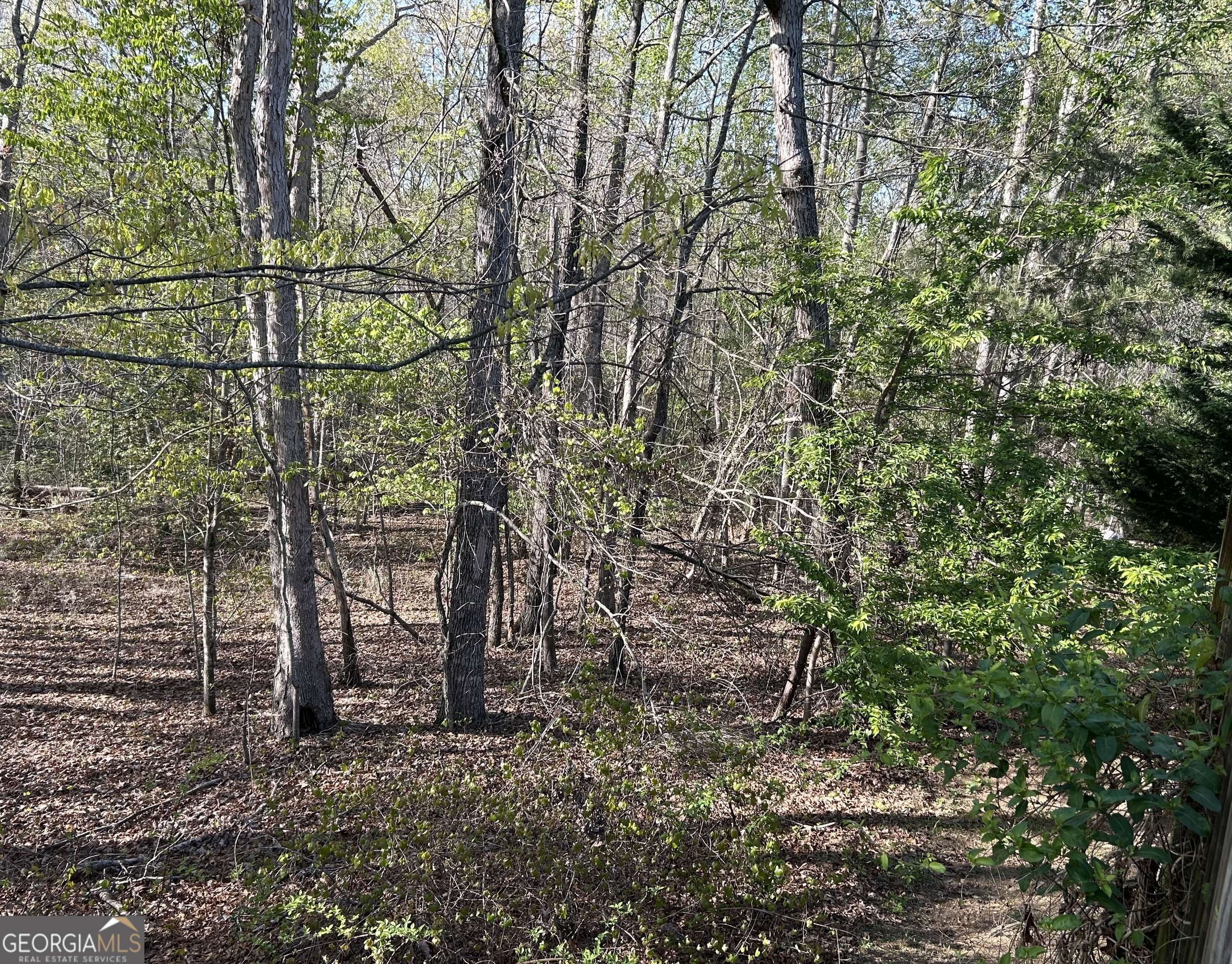 Clarkesville, Georgia 30523, United States, 3 Bedrooms Bedrooms, ,2 BathroomsBathrooms,Residential,Active,107017