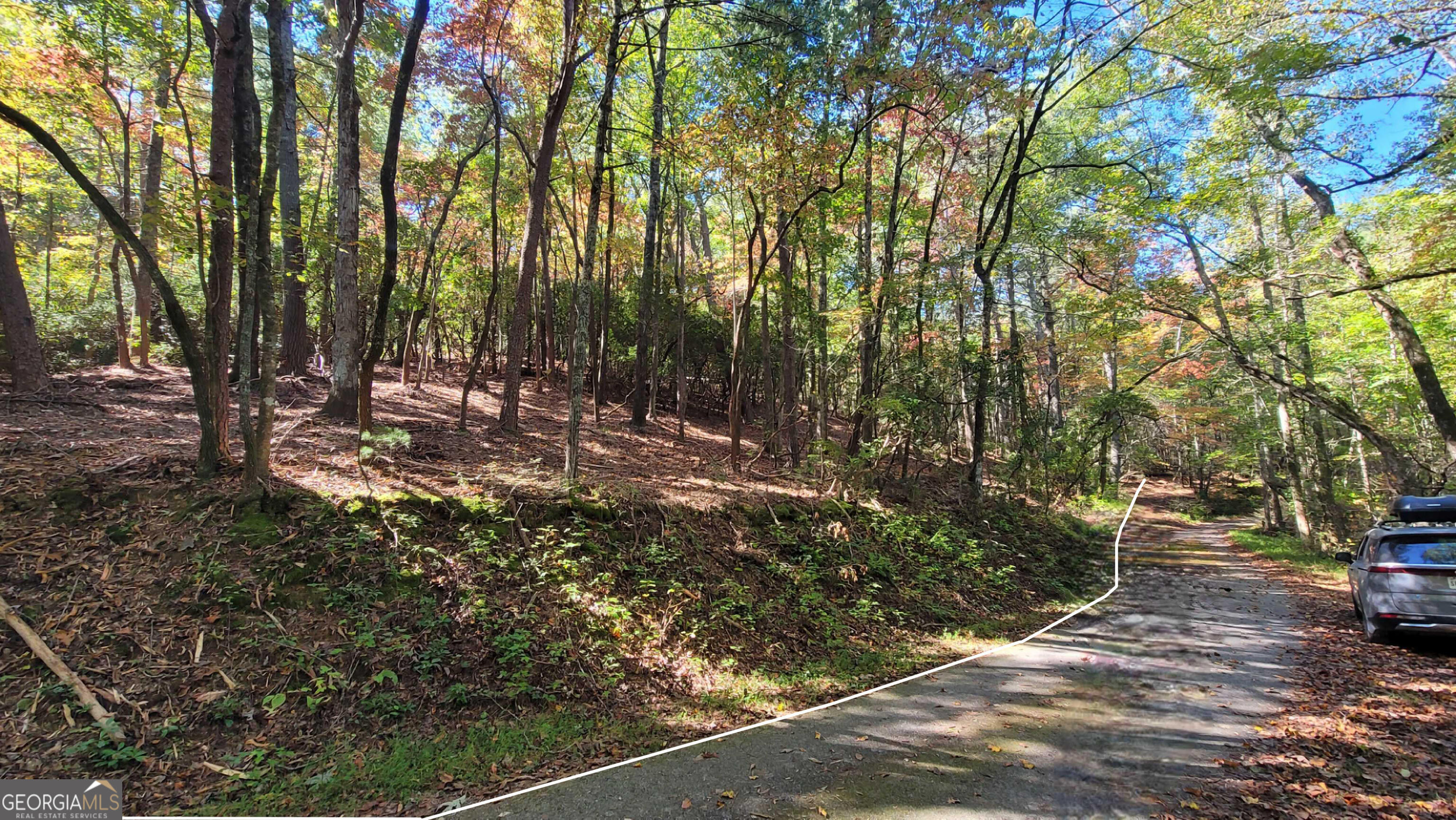 4.438 acres of unrestricted land on T S Jarrard Rd in Dahlonega, GA. Serene and peaceful location where the birds chirp and leaves rustle away your worries. has easy access off Hwy 19 with county-maintained road frontage. Easy 20 minutes cruise into downtown. No HOA or building restrictions. Build anything you want with no size limits. Underbrush has been cleared and is walkable. Take a tour. Multiple potential build sites, completed perc test on file, survey on file. Well and septic will be needed. Electric at the road. No appointment necessary. Feel free to walk the property at your convenience and soak in country living close to downtown.