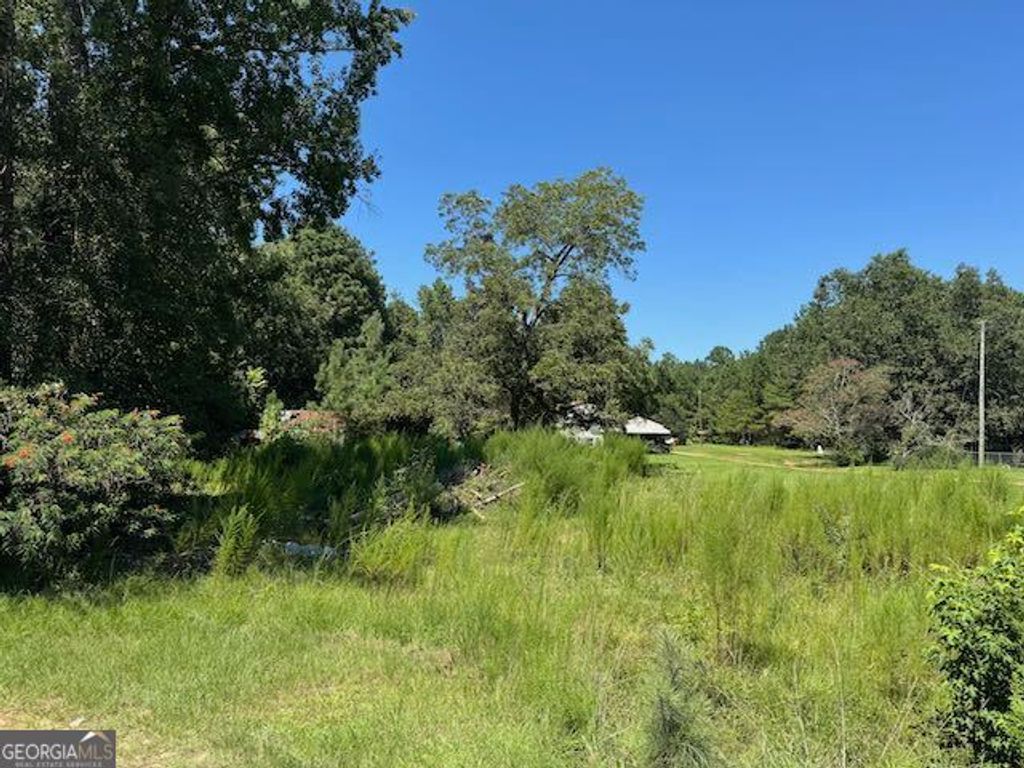Photo of 849 E McCarty Street, Sandersville, GA 31082 (MLS # 10586722)