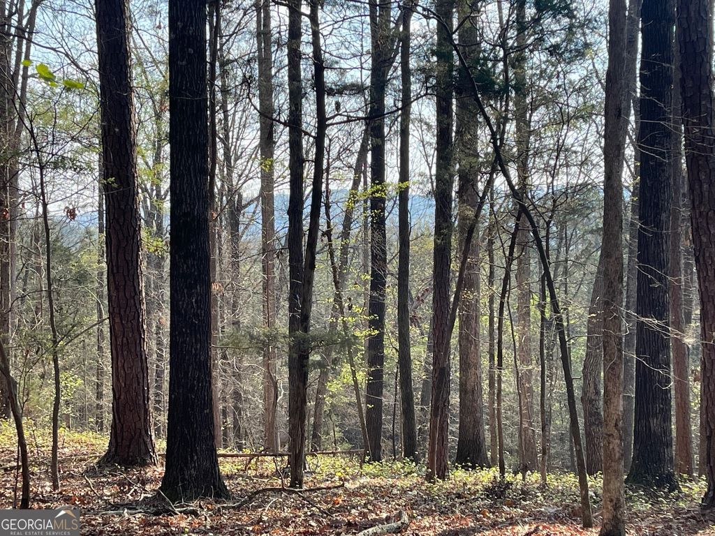 Photo of 12 CHALCREST Way, Cave Spring, GA 30124 (MLS # 10754542)