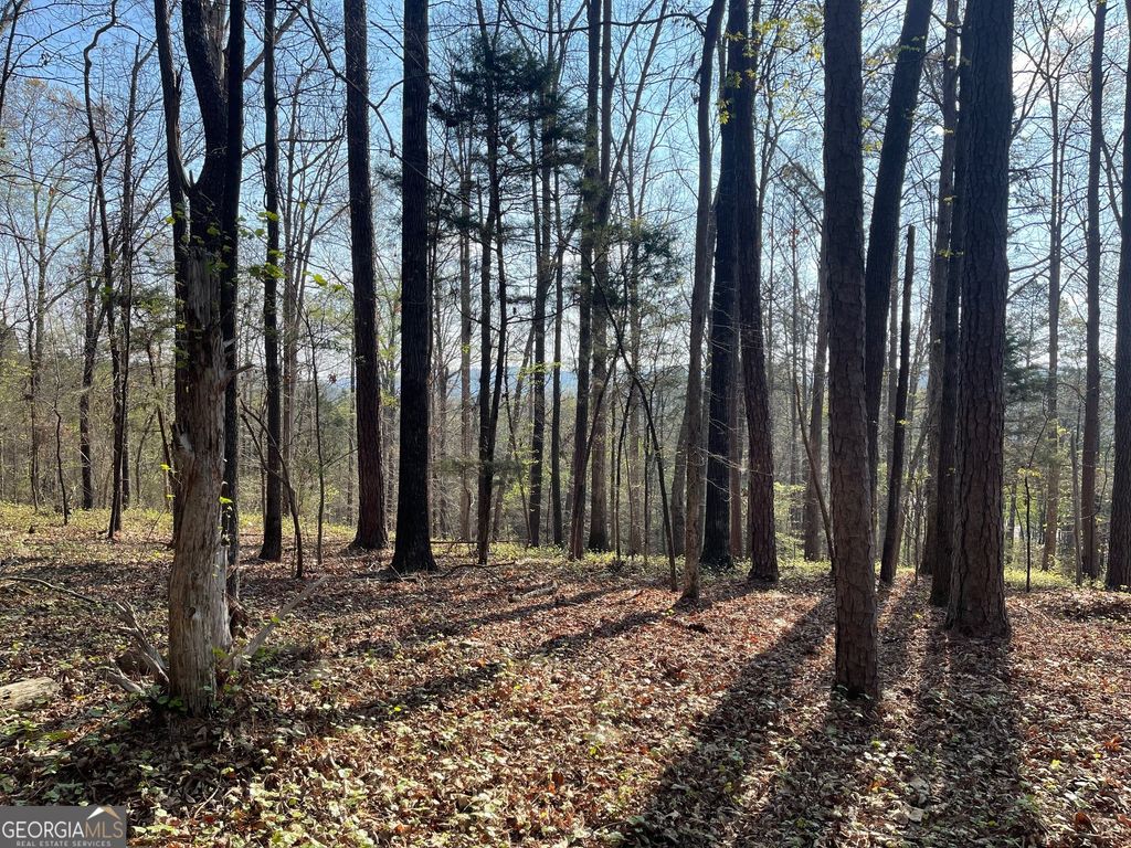 Photo of 12 CHALCREST Way, Cave Spring, GA 30124 (MLS # 10754542)