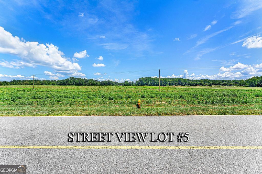 Photo of 5 Clay Brown, Hartwell, GA 30643 (MLS # 10660752)