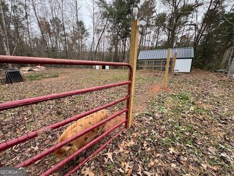 A home in Ellijay