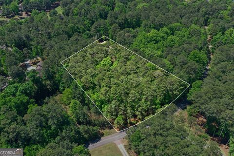 Photo of 1470 Snug Harbor Drive, Greensboro, GA 30642 (MLS # 10734942)