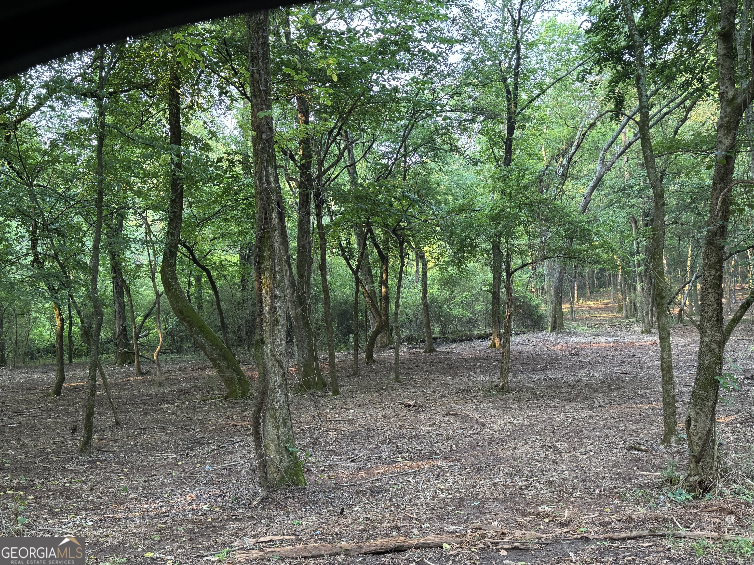 Come build your dream house on this gorgeous property. So many options, keep it wooded for privacy or clear cut for a mini farm. Property lines are marked.