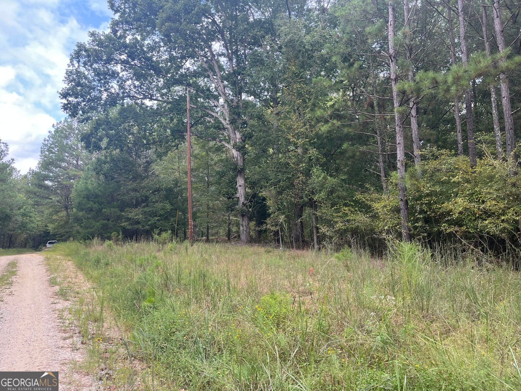 Photo of 0 Vinson Road, Tignall, GA 30668 (MLS # 10849906)