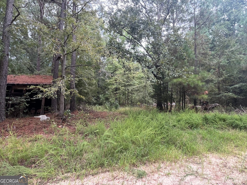 Photo of 0 Vinson Road, Tignall, GA 30668 (MLS # 10849906)