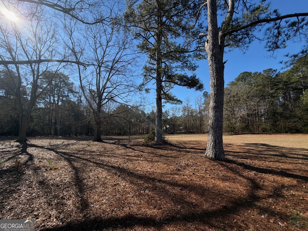 Photo of 894 New Hope Road, McDonough, GA 30252 (MLS # 10671194)