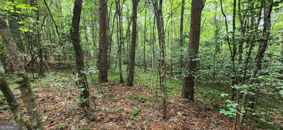 Lot 44 in Old Mill Pond Valley Estates is a great buildable lot with potential views for a great price! Do not wait on this opportunity! The lot is very gentle then takes a nice drop off to potentially expose some views. Great roads that are on a regular maintenance schedule.