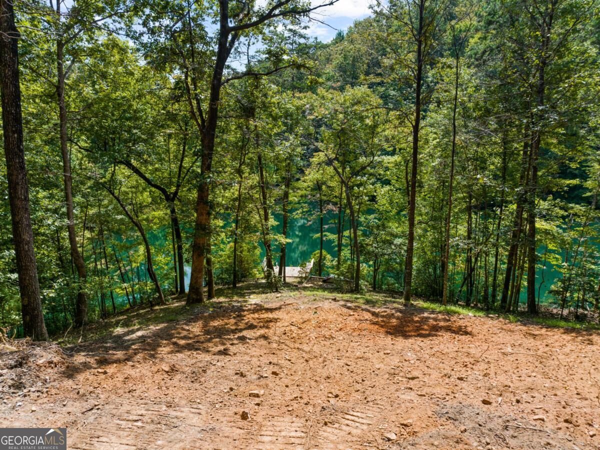 LT 44&45 Overlook DR