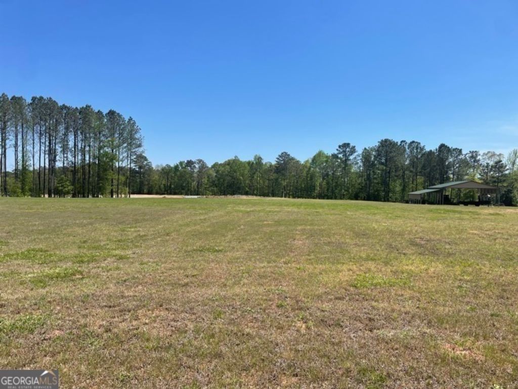 Photo of 5710 Hwy 29, Grantville, GA 30220 (MLS # 10666809)
