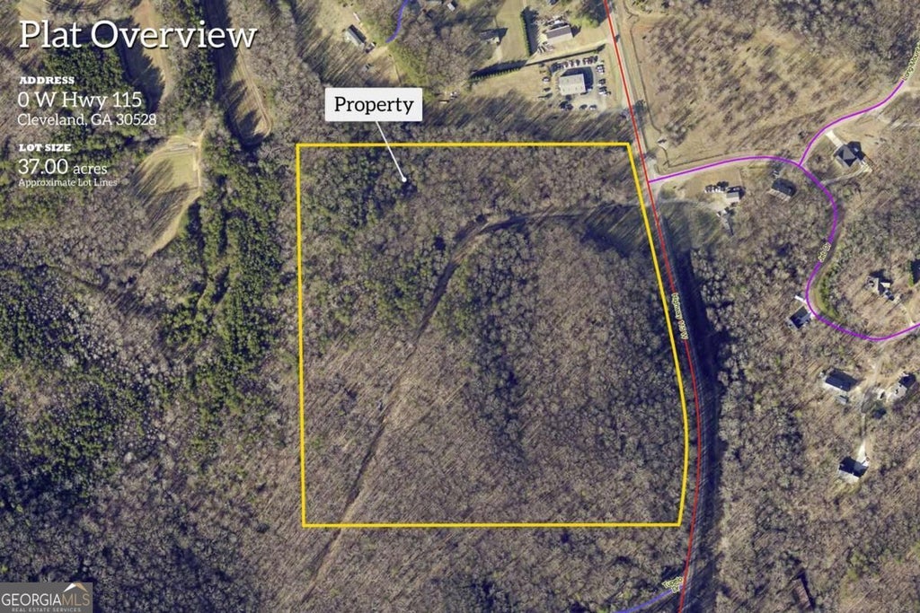 Photo of 0 Highway 115, Cleveland, GA 30528 (MLS # 10839678)