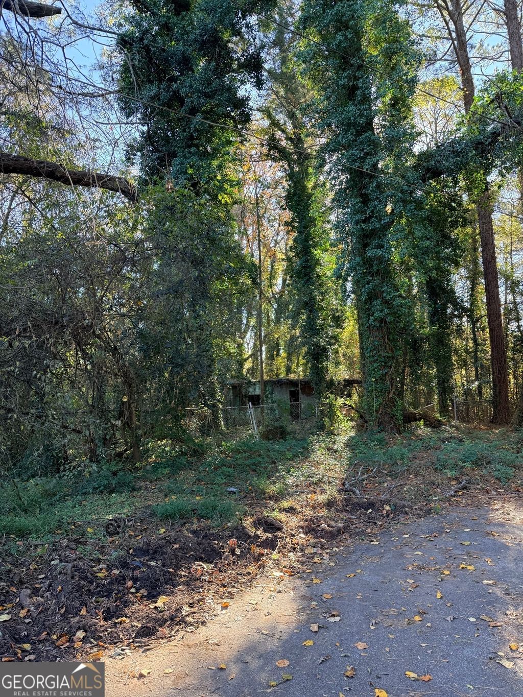 Photo of 2320 Park Way SW, Atlanta, GA 30315 (MLS # 10690730)