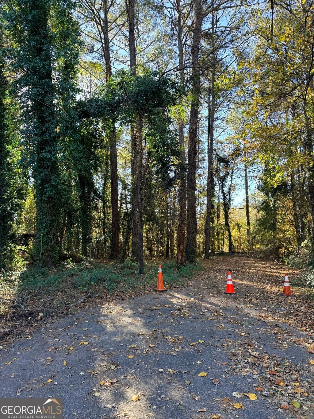 Photo of 2320 Park Way SW, Atlanta, GA 30315 (MLS # 10690730)