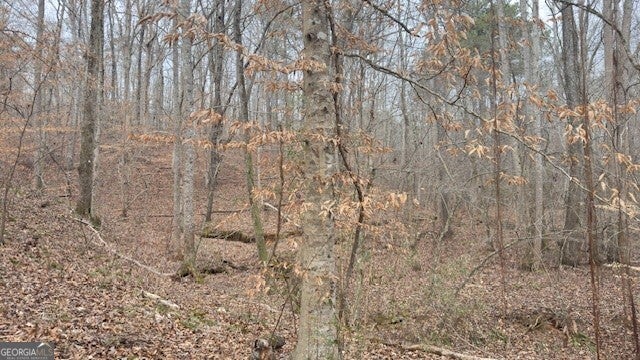 00 LOT2 N. Helton RD