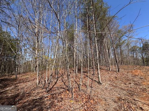 0 Highway 129 N Cleveland GA 30528