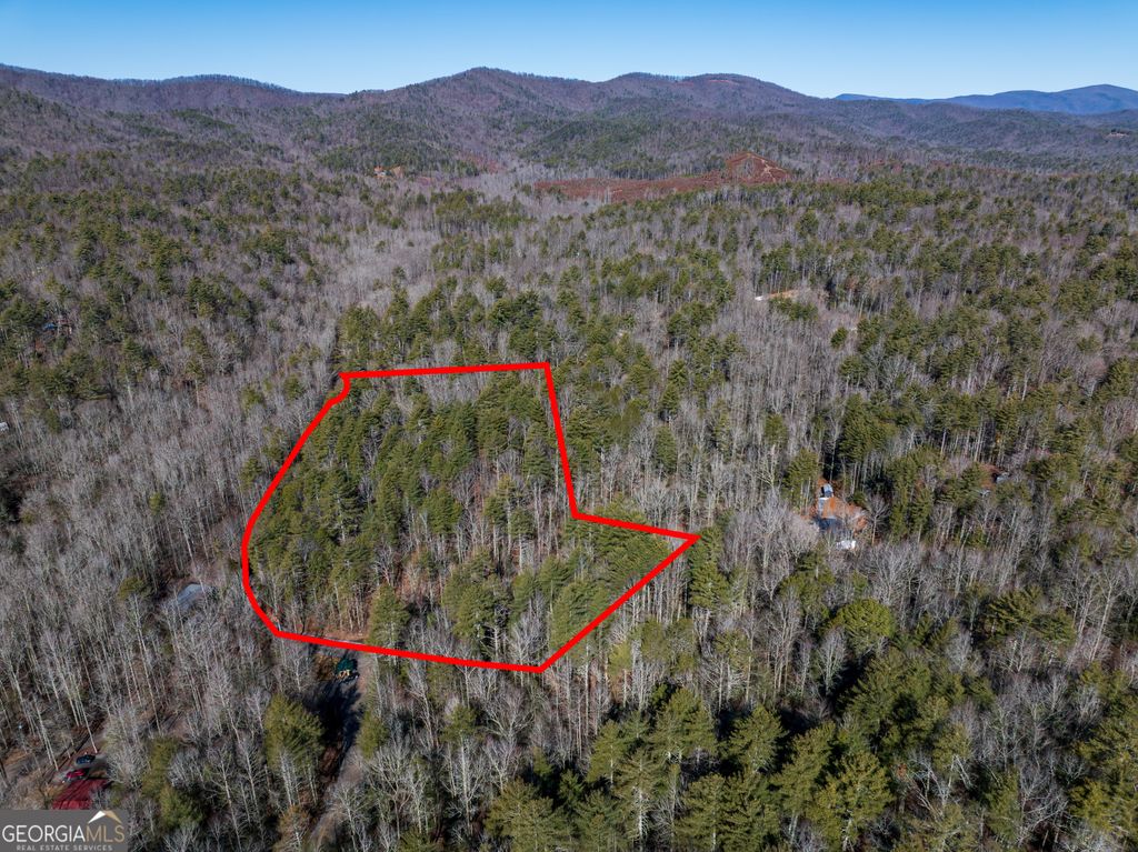 Photo of 338 Bates Drive, Ellijay, GA 30540 (MLS # 10709413)