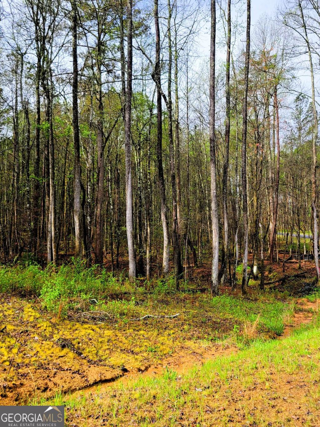 Photo of 22 Mountaingate Way, Ellijay, GA 30536 (MLS # 10738970)