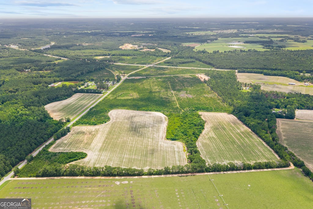 Photo of 0 Highway 46, Register, GA 30452 (MLS # 10798234)