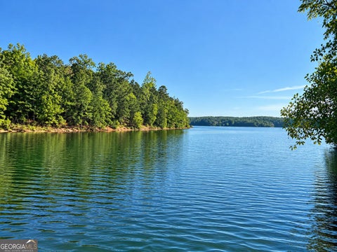 Photo of 0 Bluff Rd #LOT 21, Elberton, GA 30635 (MLS # 10850397)