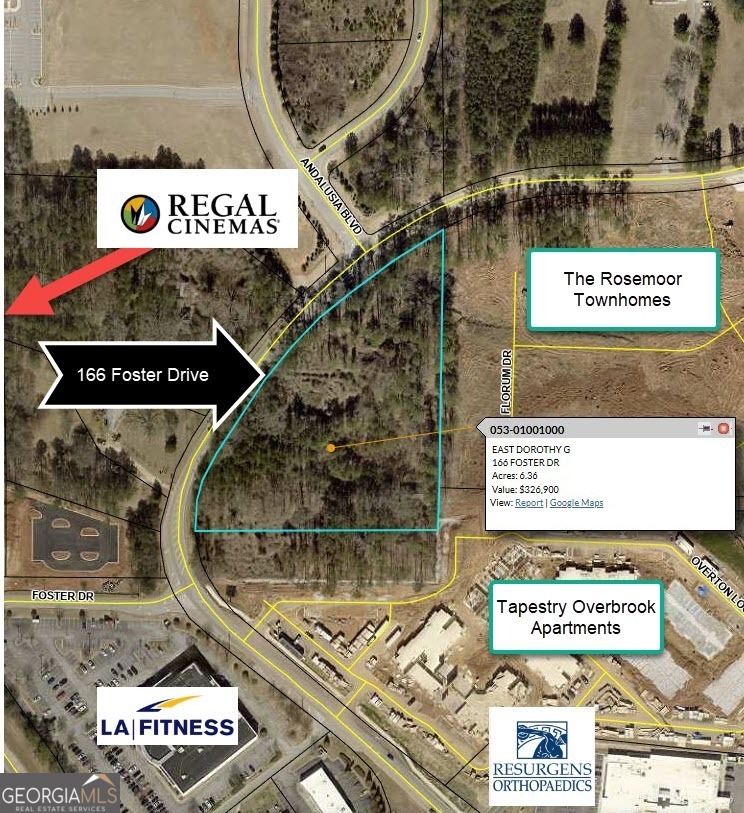 Beautiful tract located in a booming part of McDonough surrounded by new multi-family projects. First time on the market in almost 60 years. Perfect development tract listed on the Future Land Use Map as High Density Mixed Use (HDMU).