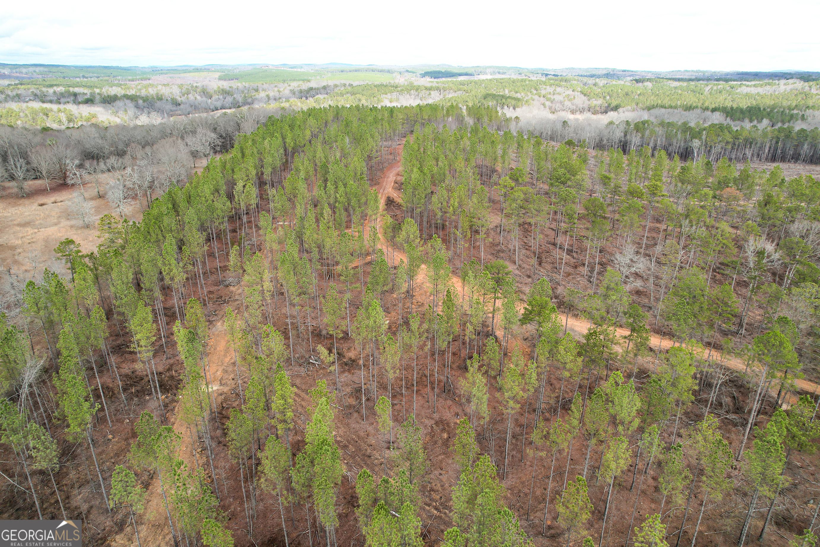 Looking for a property with homesites, a possible farm, family recreation, and an outdoor lifestyle? This is the one for you! The land features select cut pines and mature hardwoods, creating a unique and diverse landscape that is both beautiful and functional. One of the highlights of this property is Lake Creek, which runs through the land, providing a tranquil and picturesque water feature. The gently rolling hills offer multiple suitable building sites, making this property an ideal location for building your dream home, hunting cabin, or nature retreat. Create a private hunting retreat, a family compound, or simply a place to escape city life's hustle and bustle, this property is a perfect choice. There is the possibility of converting some of the property to open pastures for horses or cattle. The diverse terrain provides ample hunting, fishing, hiking, and exploring opportunities. The mature hardwoods offer a picturesque backdrop for any outdoor enthusiast. The select-cut timber management practice has allowed for healthy forest growth and the regeneration of new trees, creating a sustainable and thriving ecosystem. There is paved county road frontage, which provides easy access. Whether you're looking for a secluded getaway or a place to call home, this property offers something for everyone. Call the listing Agent, Jason McGee, to schedule a private tour of this amazing property.