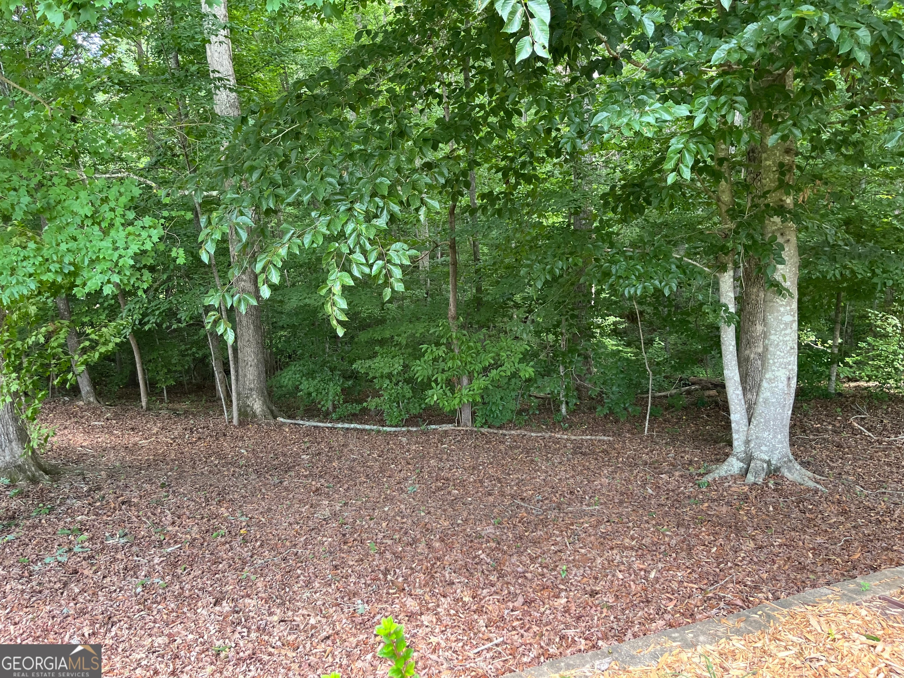 139 Laurel Creek CT