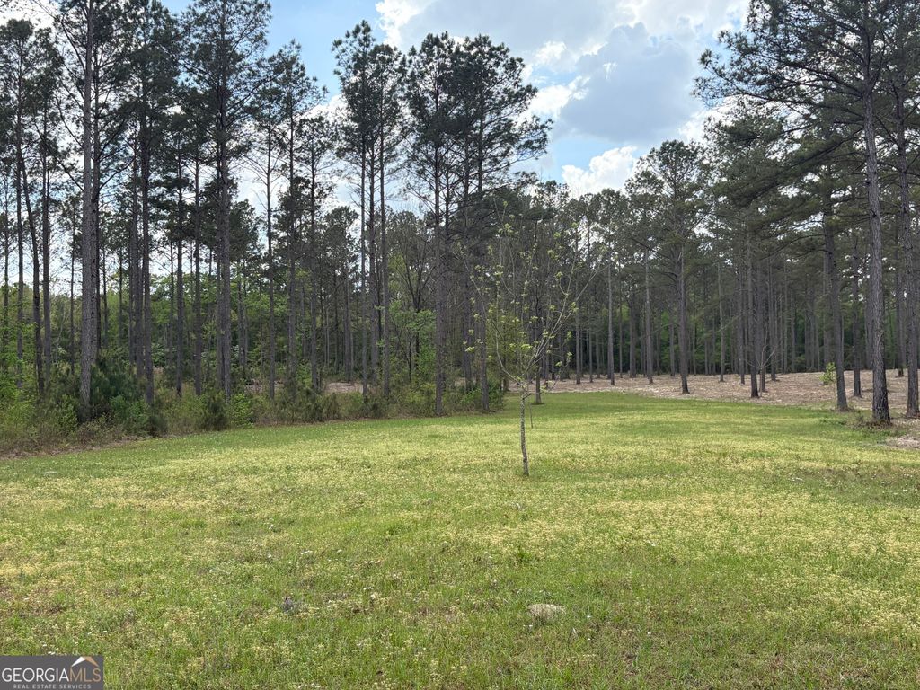 Photo of 3 DC Hardie Road, Gordon, GA 31031 (MLS # 10742189)
