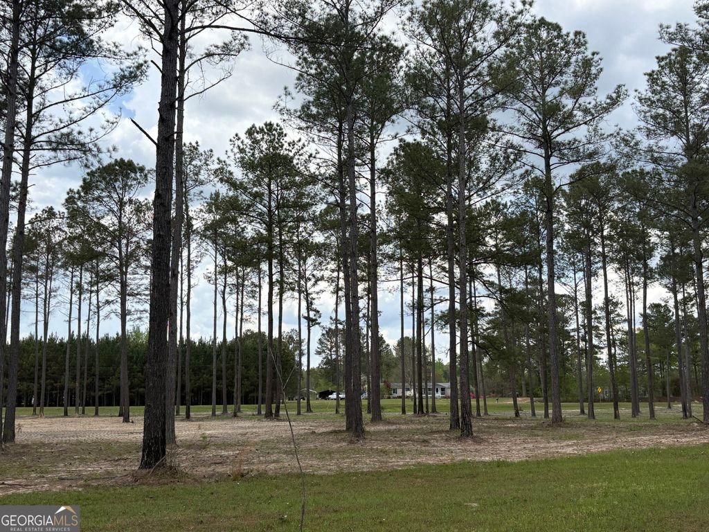 Photo of 3 DC Hardie Road, Gordon, GA 31031 (MLS # 10742189)