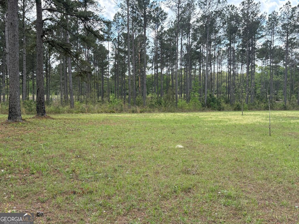 Photo of 3 DC Hardie Road, Gordon, GA 31031 (MLS # 10742189)