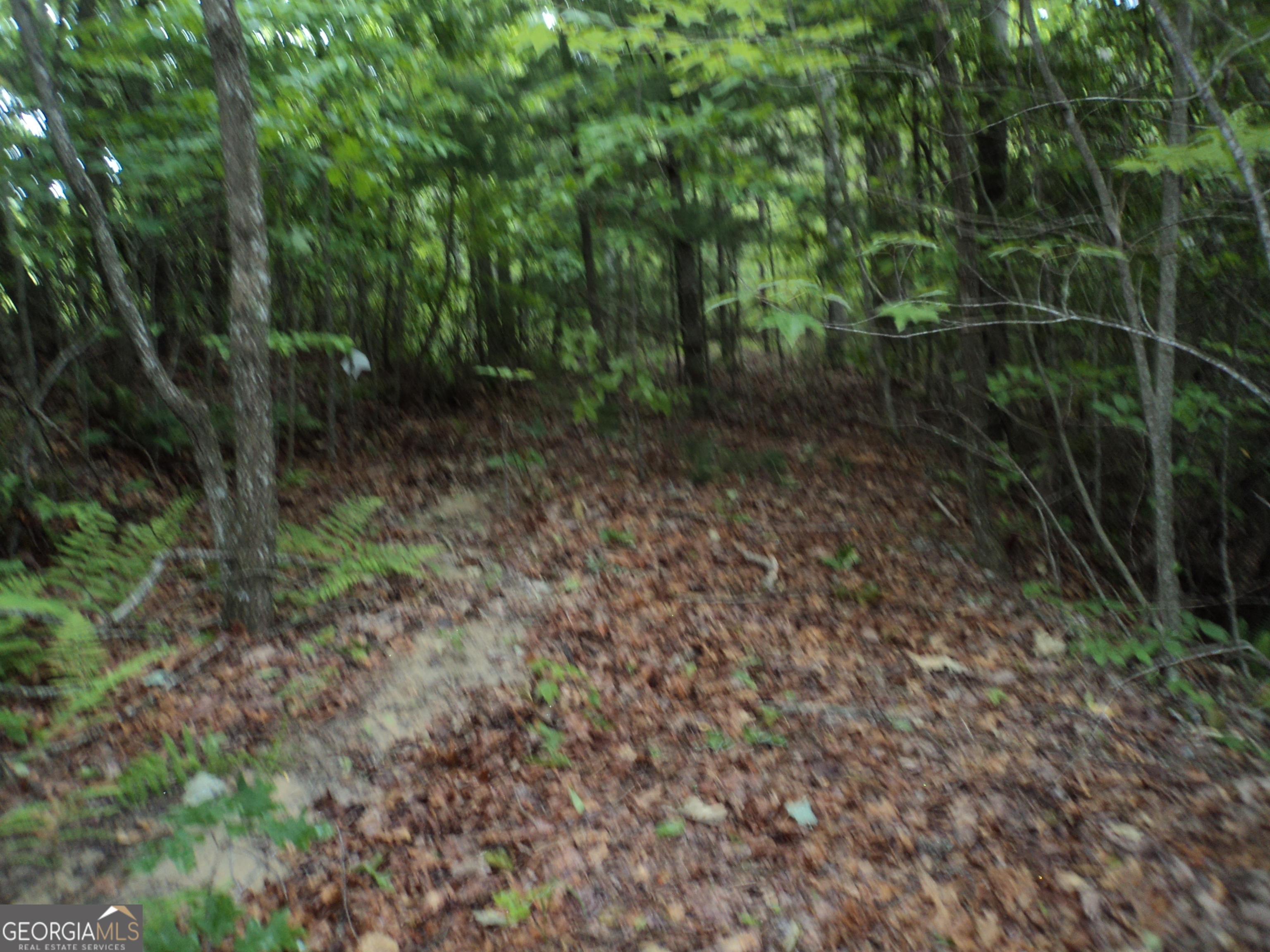 LOT SM4 Raven Fork TRL