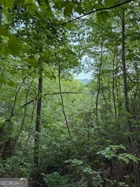 LOT SM4 Raven Fork TRL Dillard GA 30537