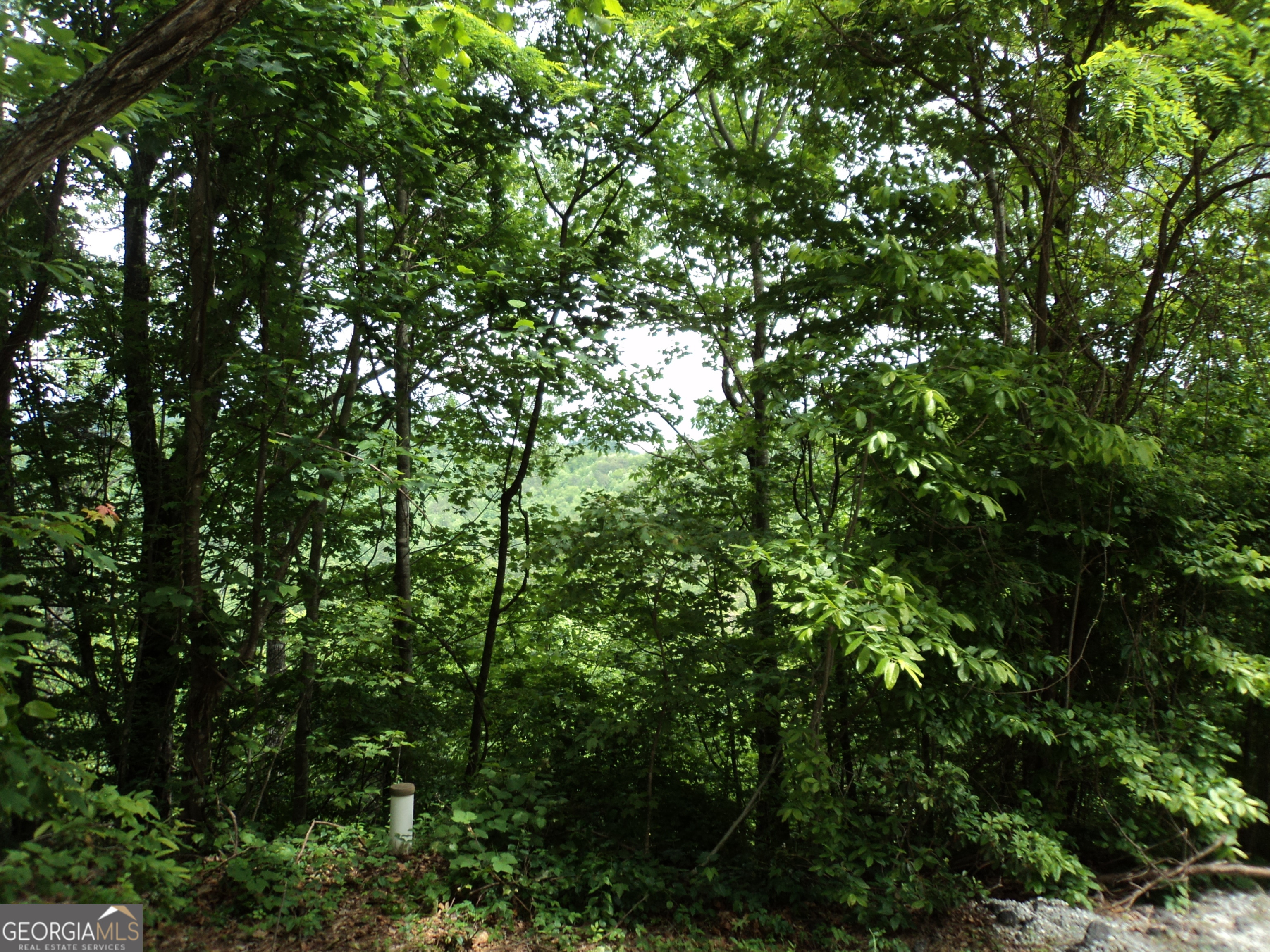 LOT SM4 Raven Fork TRL