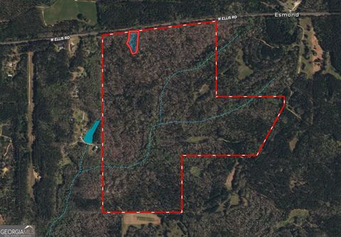 200 AC W Ellis RD Griffin GA 30223