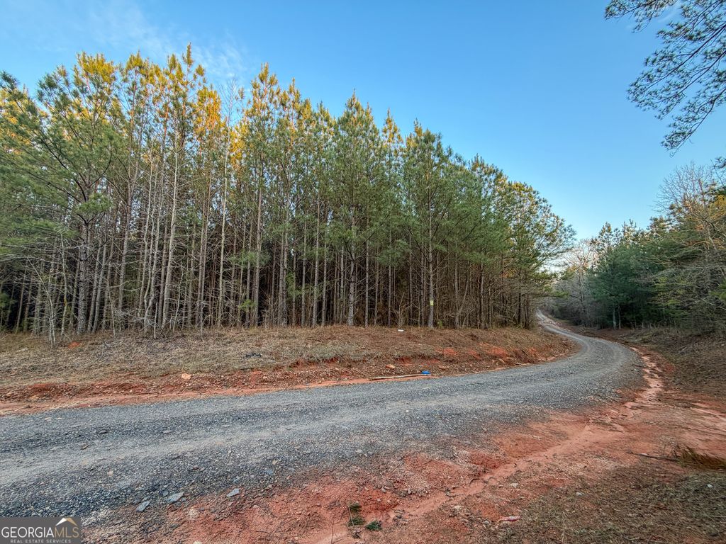 Photo of 94 +/- Acres on Edwards Road, Franklin, GA 30217 (MLS # 10774841)