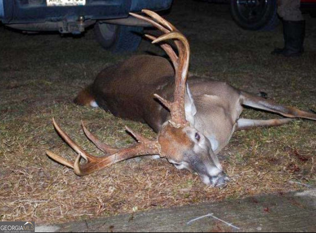 Photo of 2729 Hadden Pond Road, Avera, GA 30803 (MLS # 10692027)