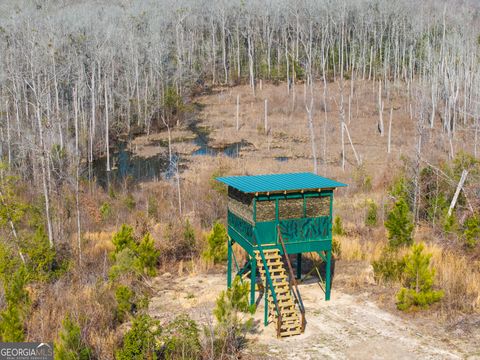 Photo of 2729 Hadden Pond Road, Avera, GA 30803 (MLS # 10692027)