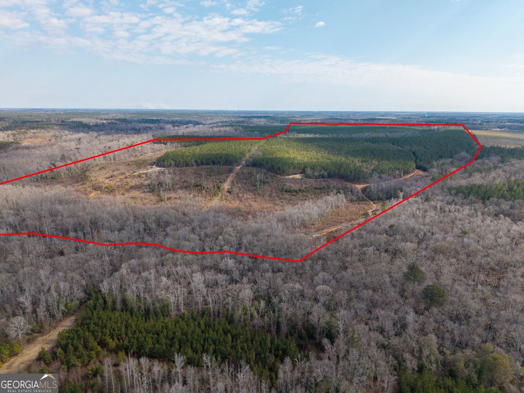 Photo of 2729 Hadden Pond Road, Avera, GA 30803 (MLS # 10692027)