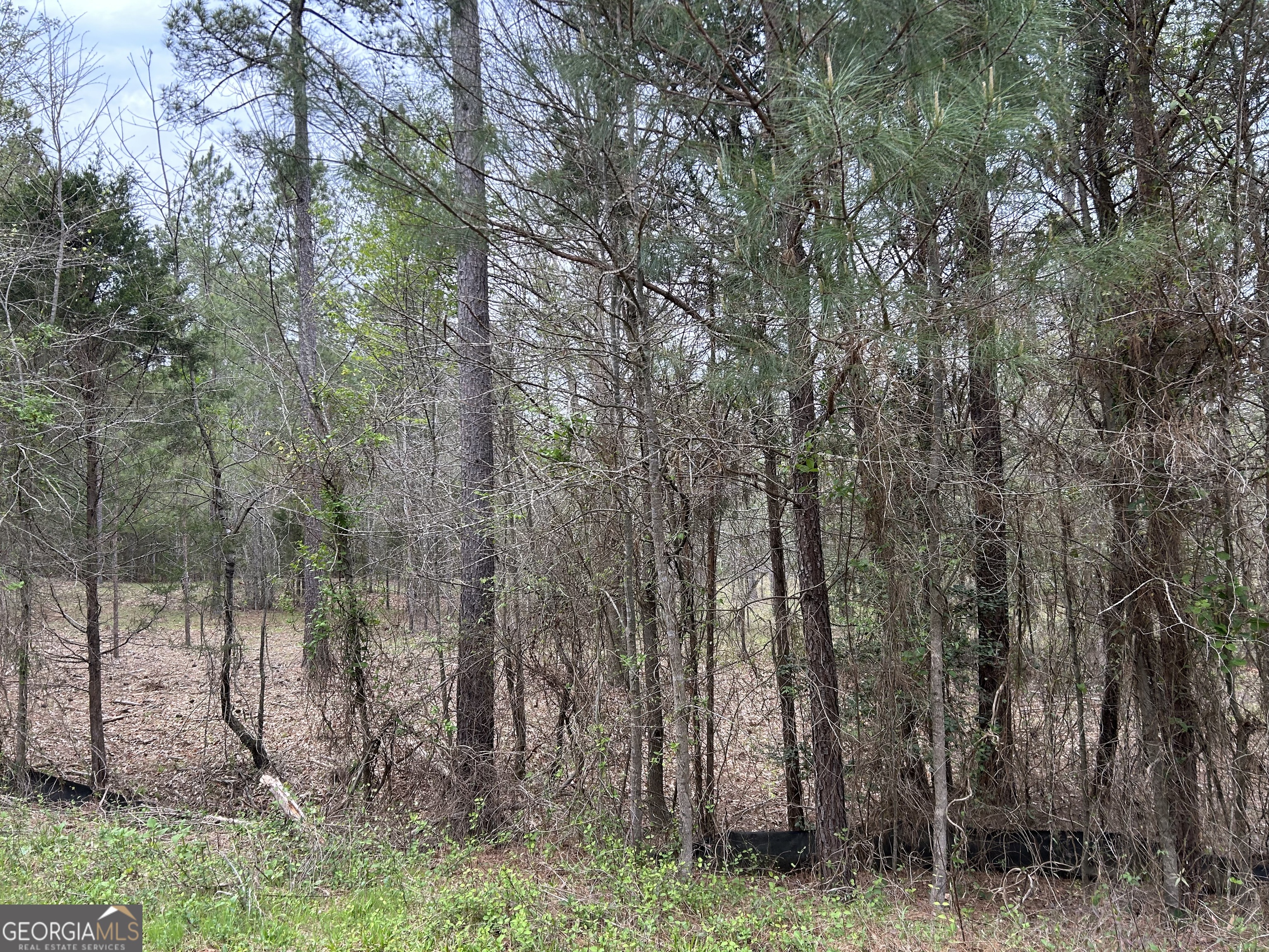 OWNER FINANCING AVAILABLE! If you're looking for privacy, tranquility and lake life, this 1.048 acres in a gated lake community checks all the boxes. Build your dream house and enjoy the amazing views of Lake Russel from your backyard. This lot has a very clear and smooth path all the way to the water's edge. Only a short drive to play golf on one of the top 10 courses in Georgia at Richard B Russell State Park. Electricity is available, and a community water system is in place. Call today to see this amazing property! The adjoining lot can also be purchased. See covenants and all info at www.savannahlandings.org HOA Fees are $250 per year per lot. lot #33