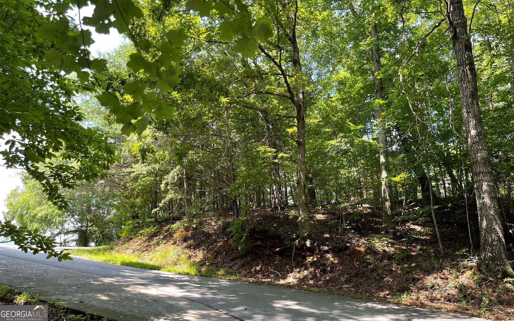 #7 Mountain Drive North