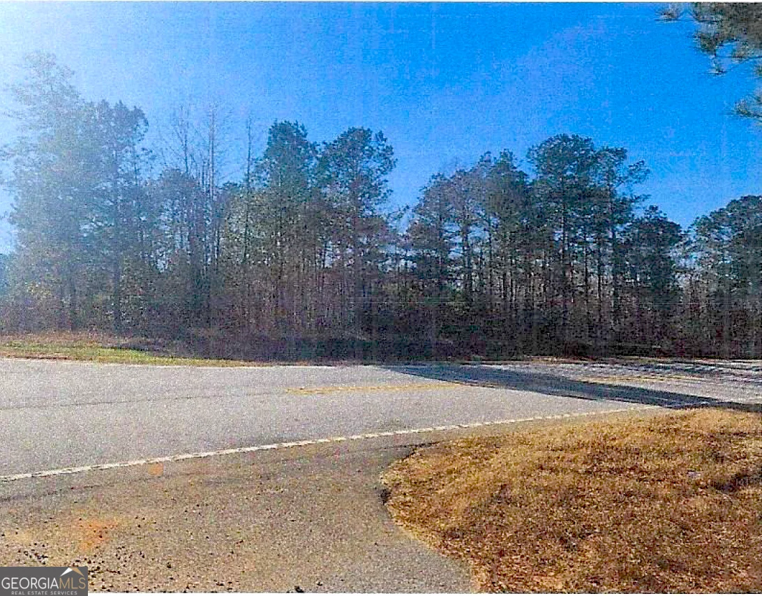 (EASTERN 1/2 OF Thomson Hwy Hwy, Warrenton, GA, 30828