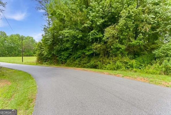 0 LEE ROAD, CEDARTOWN, GA 30125 - Image 9b57b04b775e4e28cd87c590450cb4aa/694325899