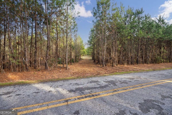 HIGH SHOALS RD, BISHOP, GA 30621 - Image 9b9eb280b81438bc503e933faefba83c/2380477315
