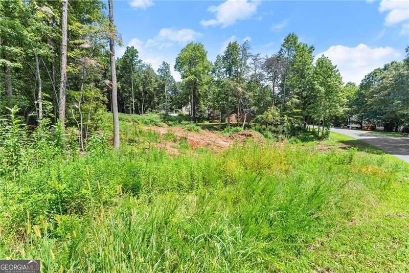 Photo of 8690 Bayhill Drive, Gainesville, GA 30506 (MLS # 10824619)