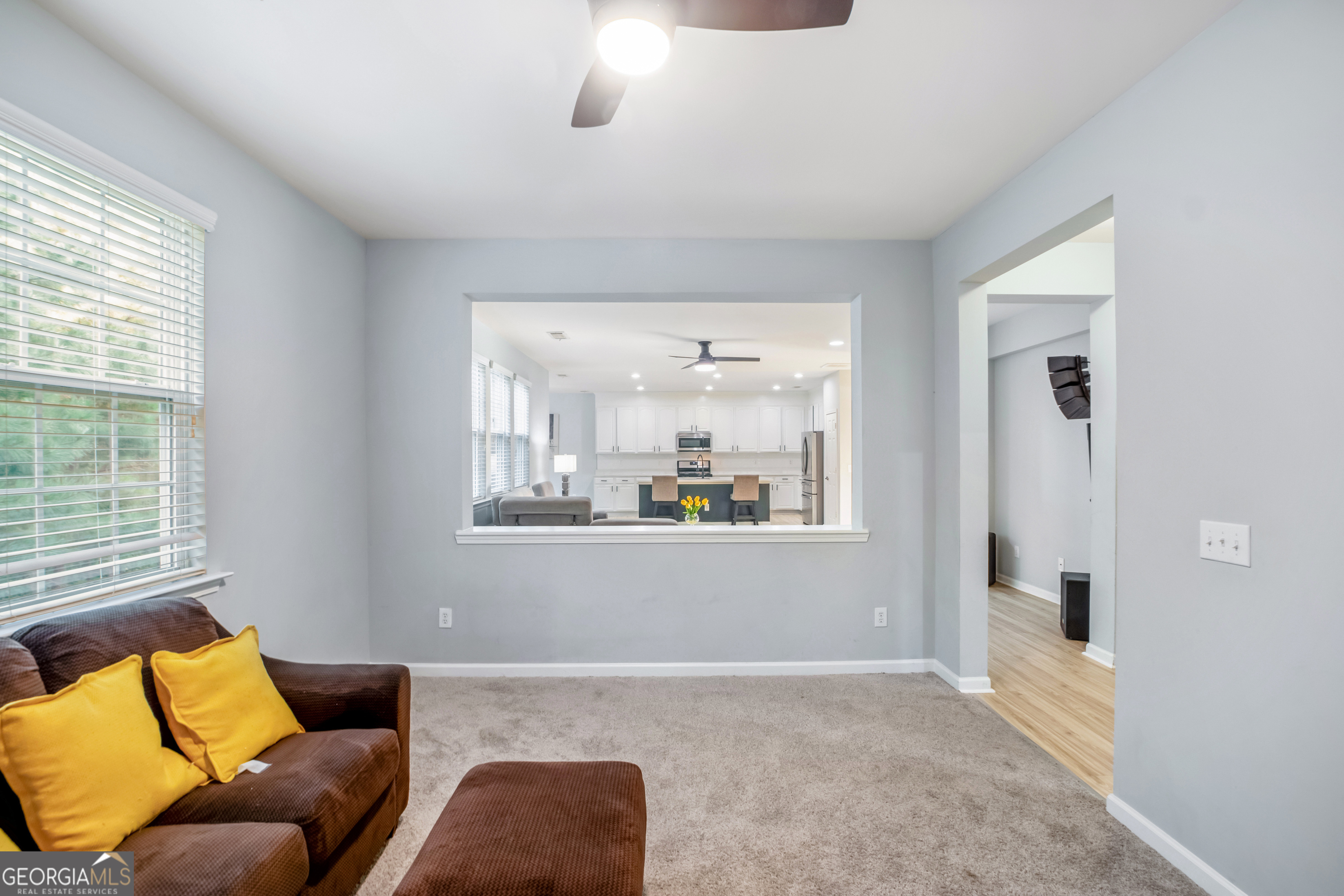 Lanier Springs Homeowner's - Residential